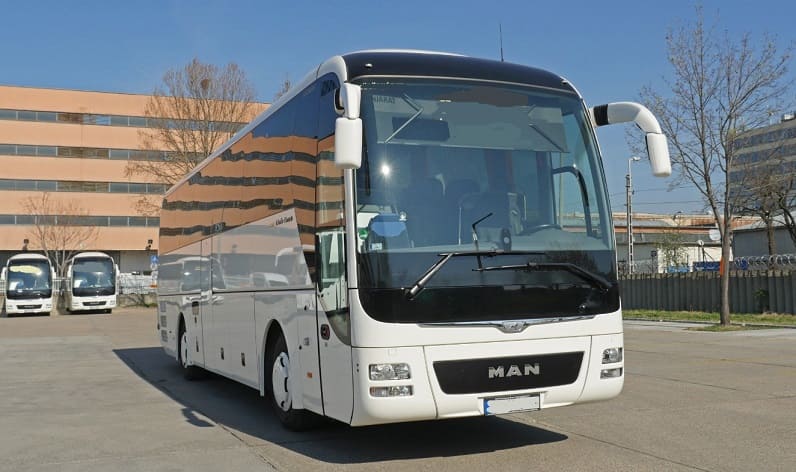Zaječar: Buses operator in Zaječar in Zaječar and Southern and Eastern Serbia